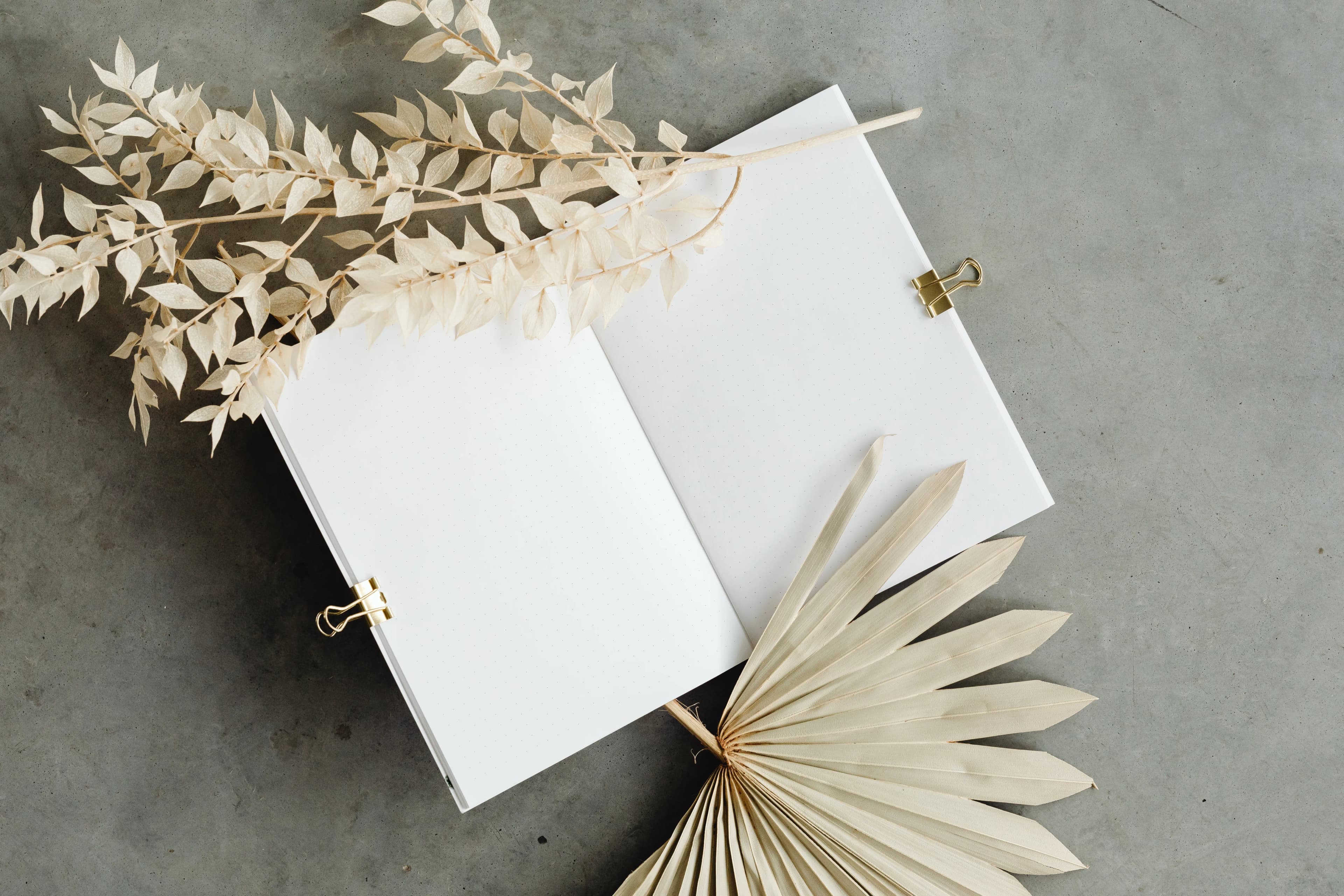 An open notebook beside dried botanical leaves